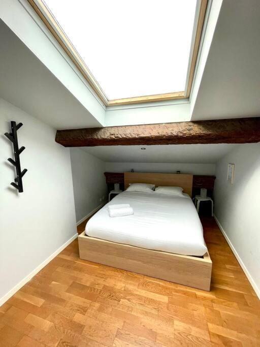 Le Charmeur - Appartement Climatise Avec 2 Chambres - Hypercentre Тулуза Екстериор снимка